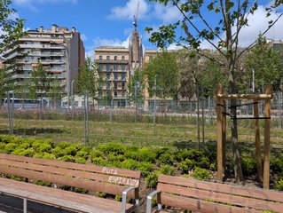 PXL_20250509_113251409