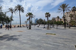 PXL_20250515_095631856