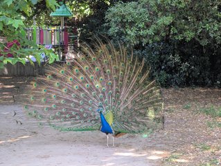 PXL_20250527_080122429