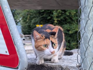 PXL_20250808_184701628